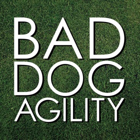 Snímky obrazovky (5) Bad Dog Agility
