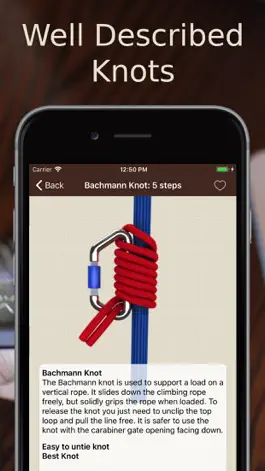 Game screenshot Animated 3D Knots apk