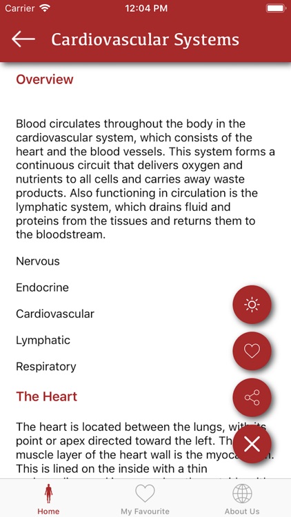 All Body System screenshot-3