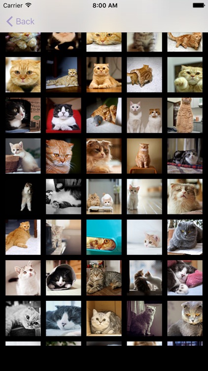 Cat's Family screenshot-3