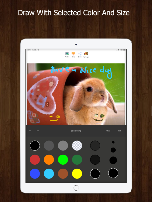 DrawText - Art,Text & Drawing iPad screenshot 4 - Photo & Video app