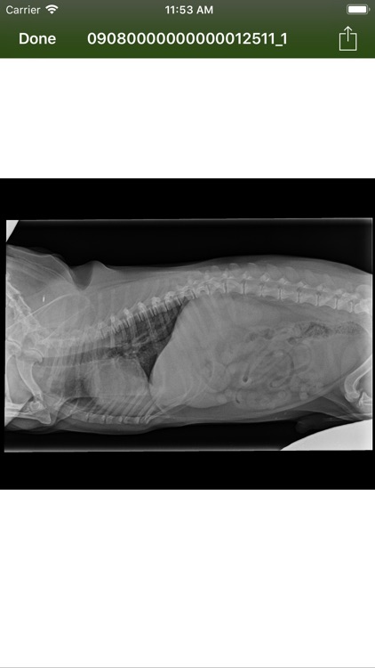 EasyPet screenshot-5