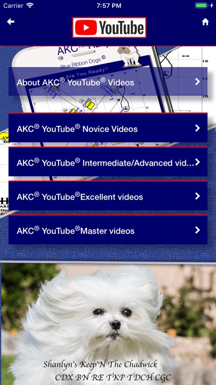 Pocket Rally Dog Obedience screenshot-5