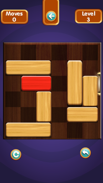 Unblock Puzzle Pro Screenshot