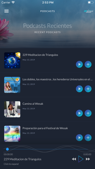 OmDemand screenshot