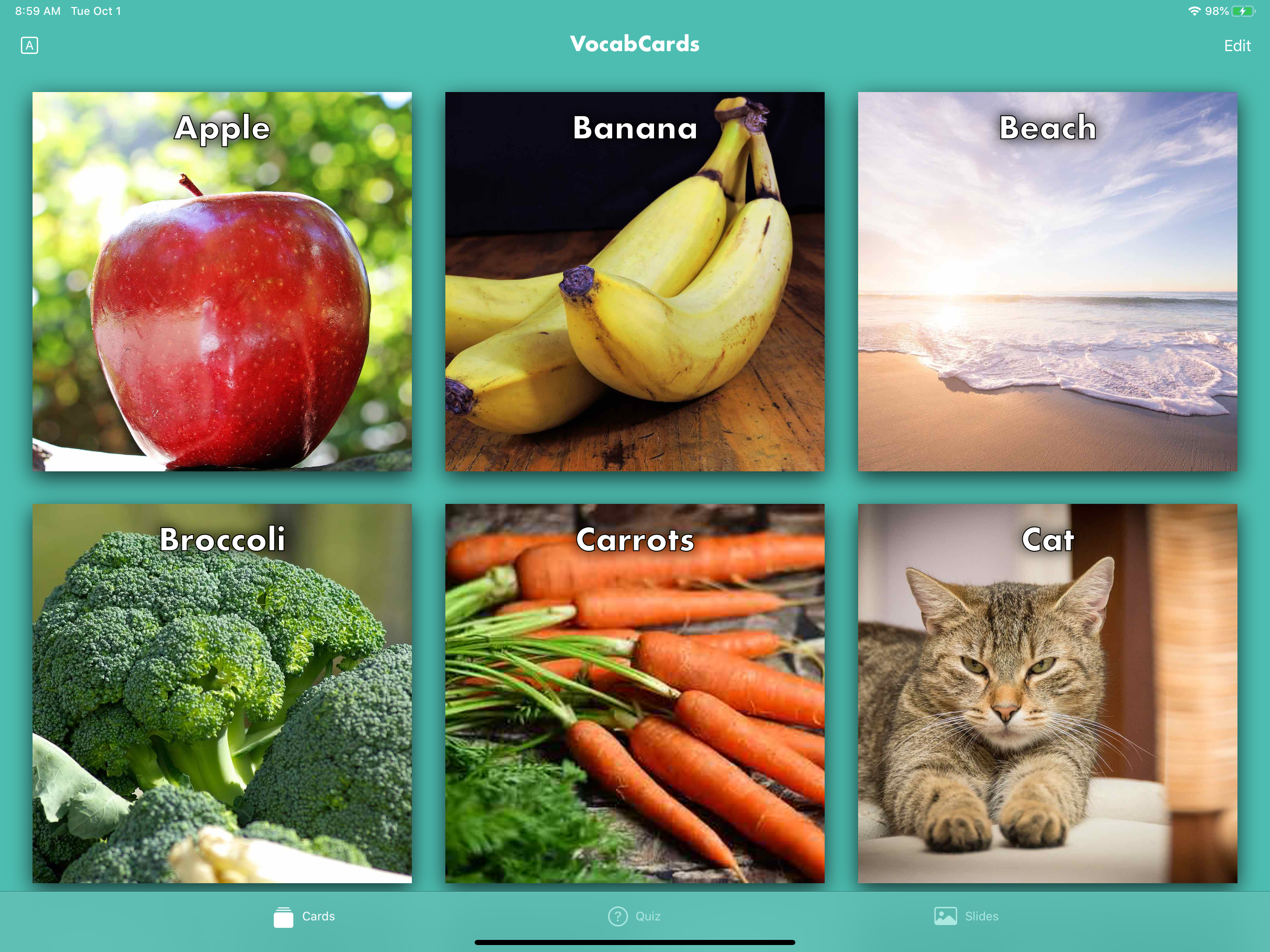 VocabCards screenshot 6