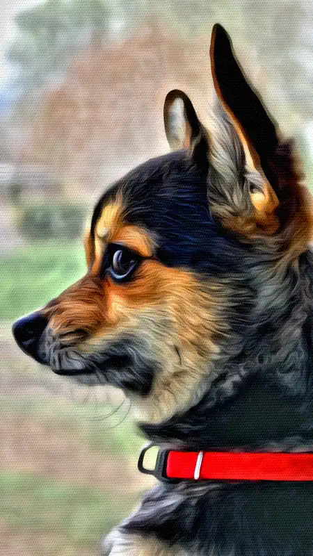 Portrait Painter screenshot 5 of 5