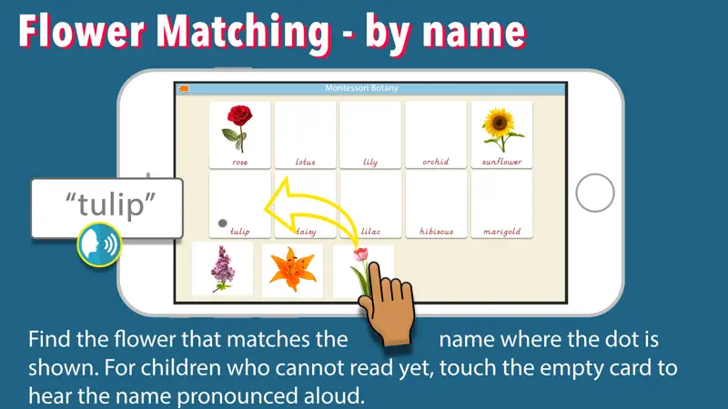 Learn Botany - Parts of Plants screenshot 8 of 9