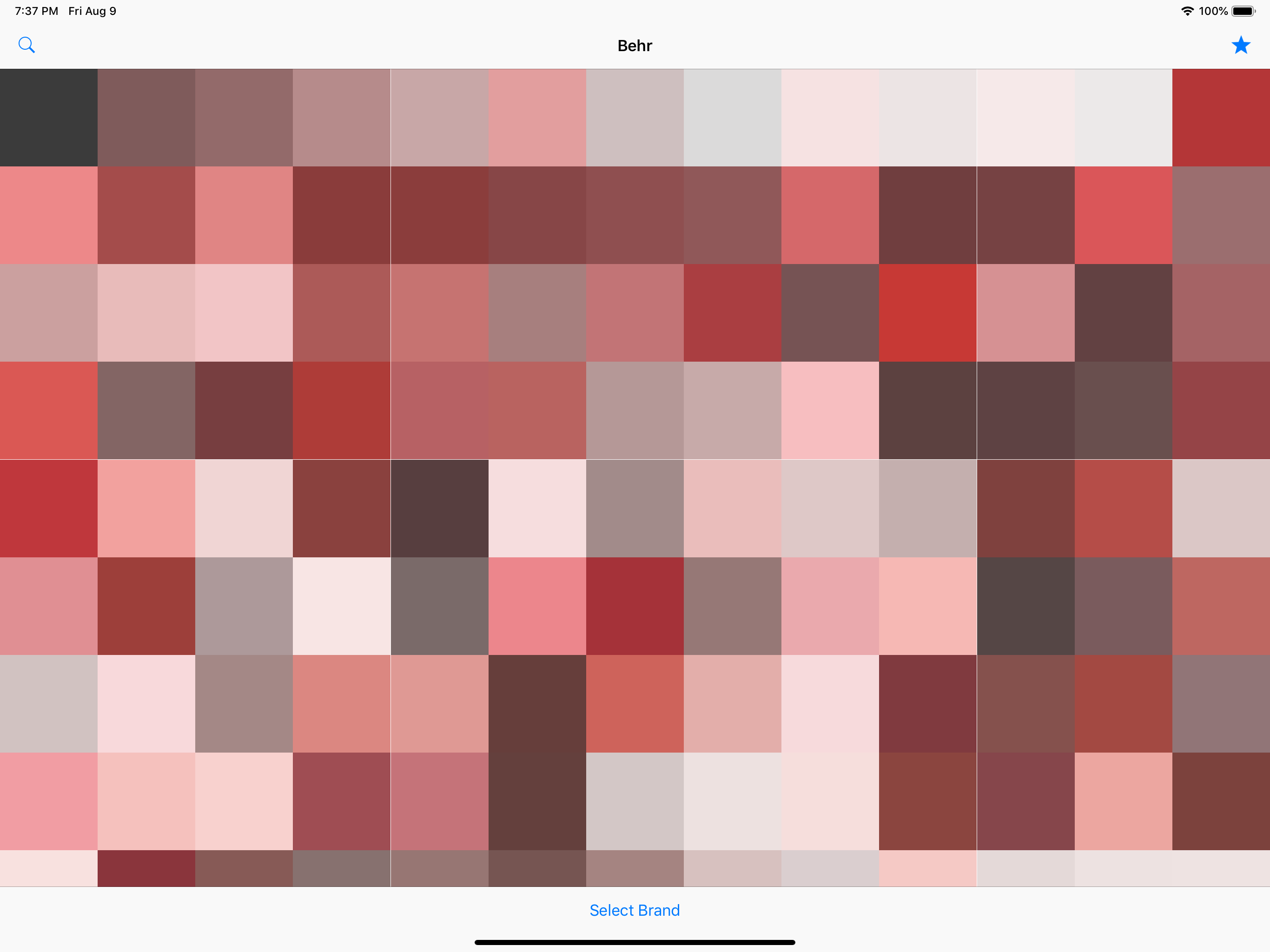 Vivid - Paint Colors