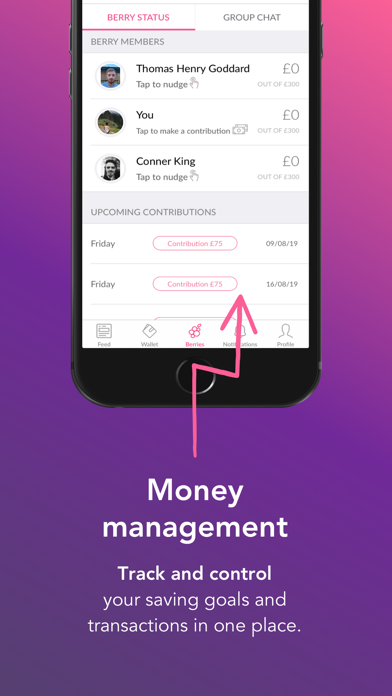 MoneyBerry App screenshot 4