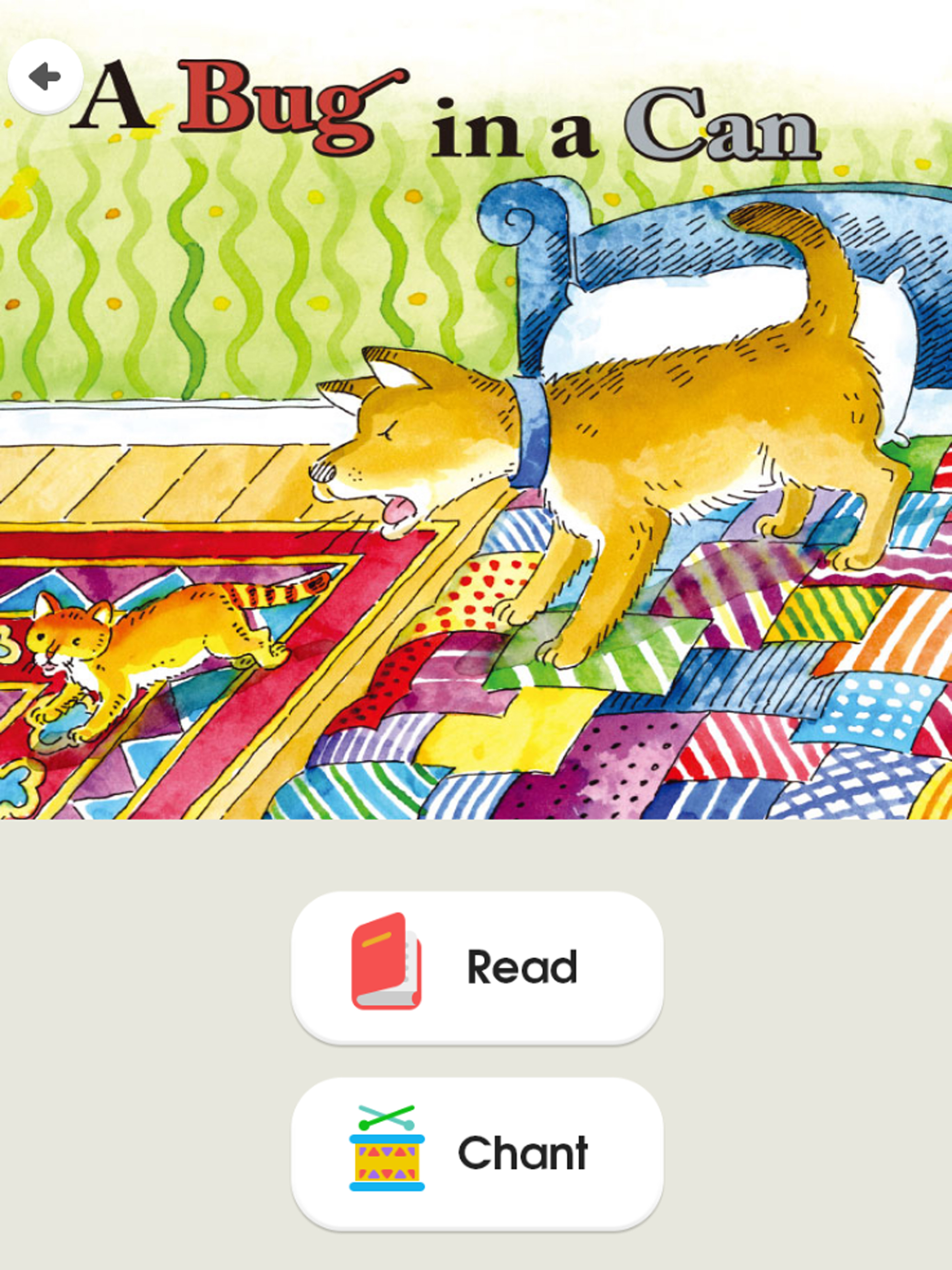 Spotlight on Phonics