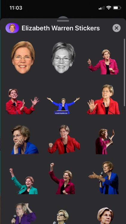 Elizabeth Warren Sticker Pack