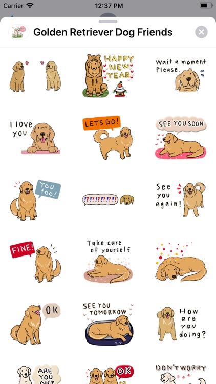 Golden Retriever Dog Friends