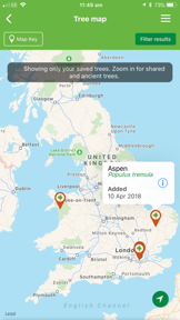 British tree identification screenshot