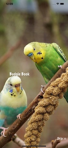 Budgie Bookのおすすめ画像1