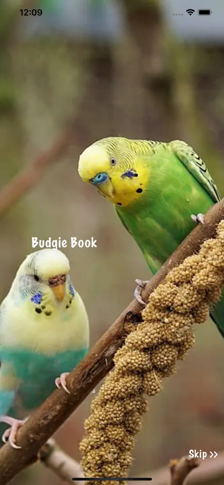 Budgie Book