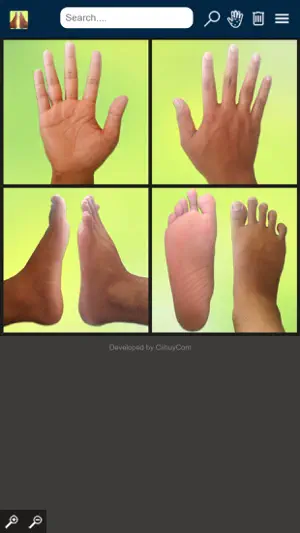 Reflexology Areas screenshot 2