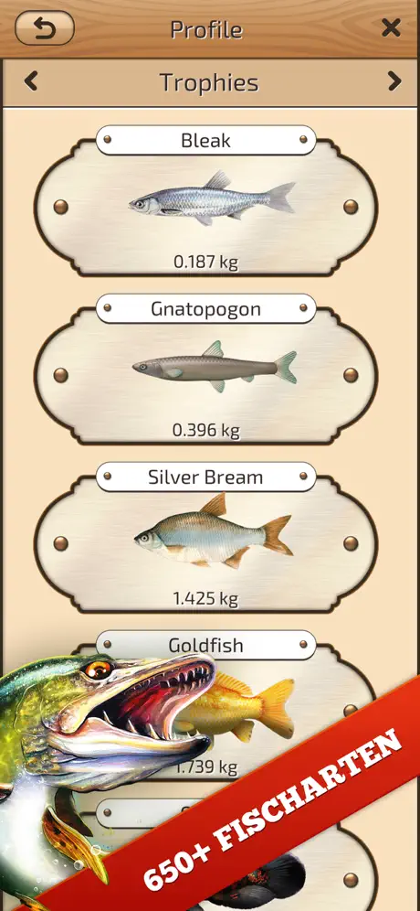 Let's Fish: Echtes Angelspiele