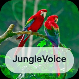 Jungle Voices