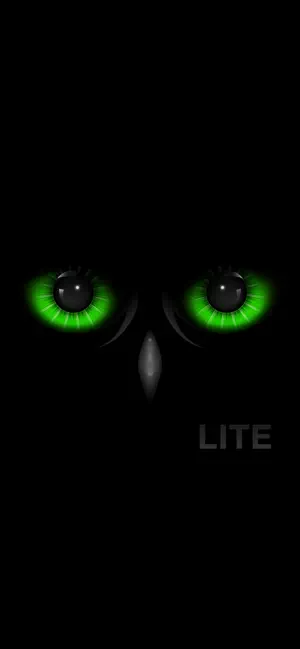 Night Eyes LT - Visão noturna_4