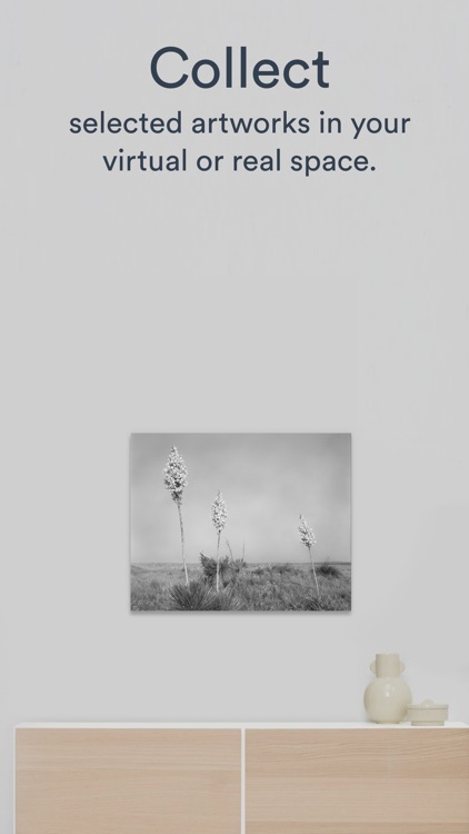 Collecting — the App