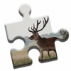 Deer Love Puzzle icon