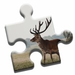 Download Deer Love Puzzle app