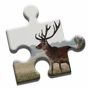 Deer Love Puzzle app download