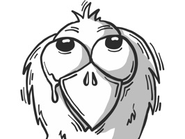 Lil Raven has good and bad moods