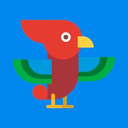 LES OISEAUX Quiz français