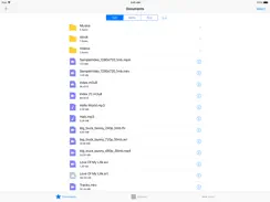 APlayer - Alook Player iPad image 1