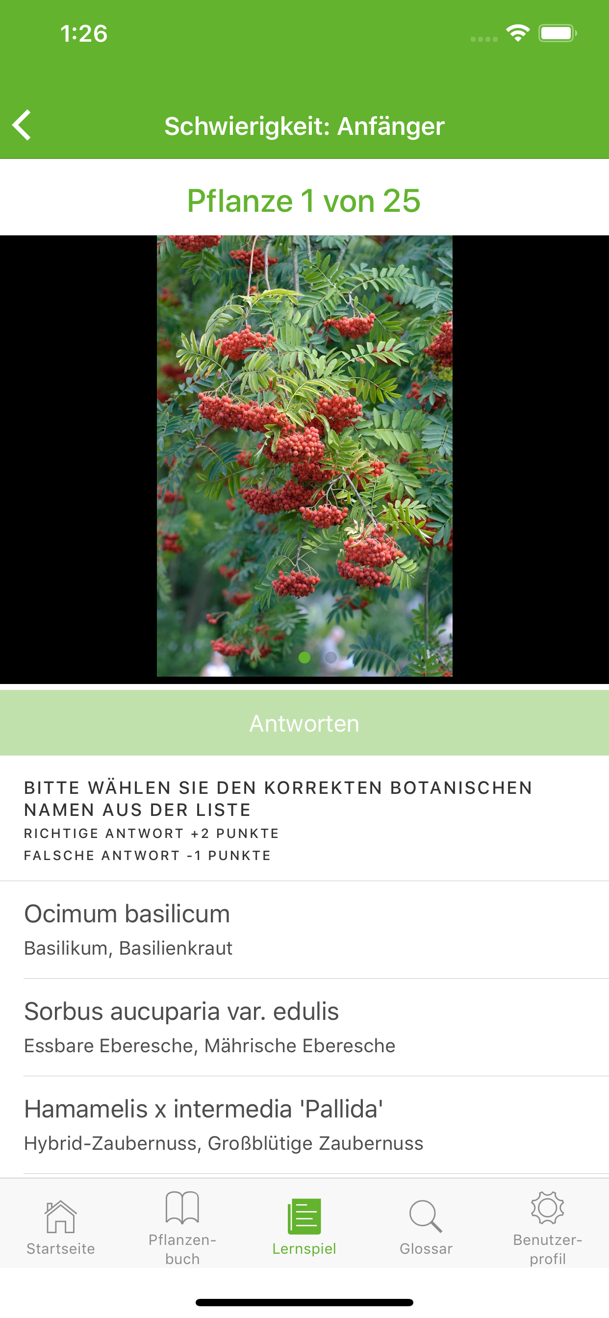 AuGaLa Pflanzenbuch