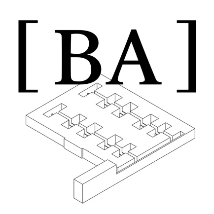 Buenos Aires Typology Читы