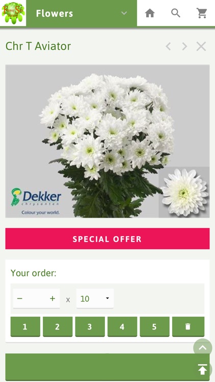 FlowerSale.nl