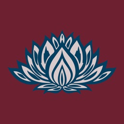 Mash Massage - массаж в СПб