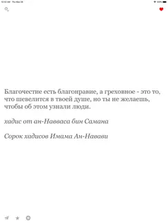 Хадисы iPad image 1