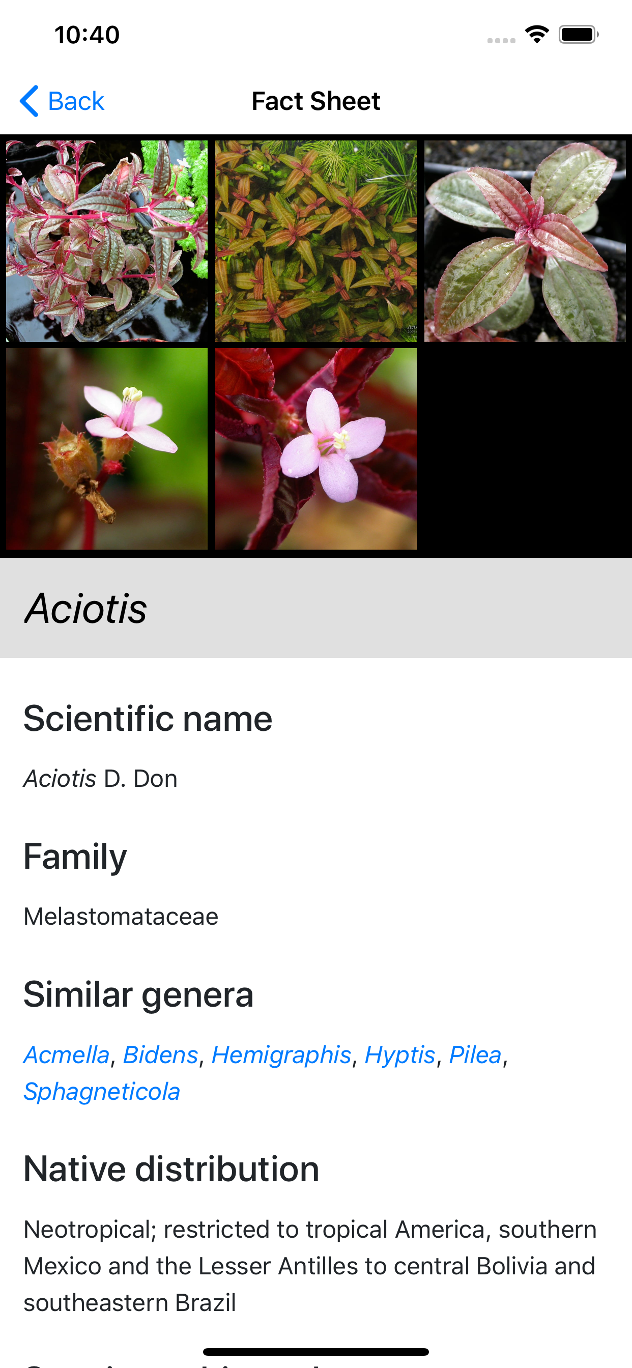 Aquarium and Pond Plant ID