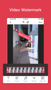 Delogo - Video editing tool screenshot