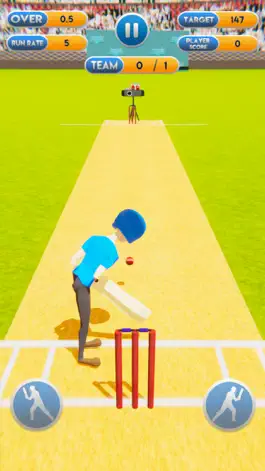 Game screenshot Cricket World Cup Mayhem 2019 apk