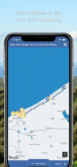 Game screenshot Hello Erie hack