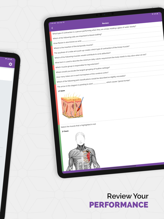MBLEx Practice Tests iPad screenshot 4 - Entertainment app