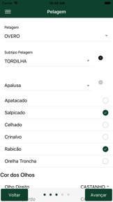 Captura de tela