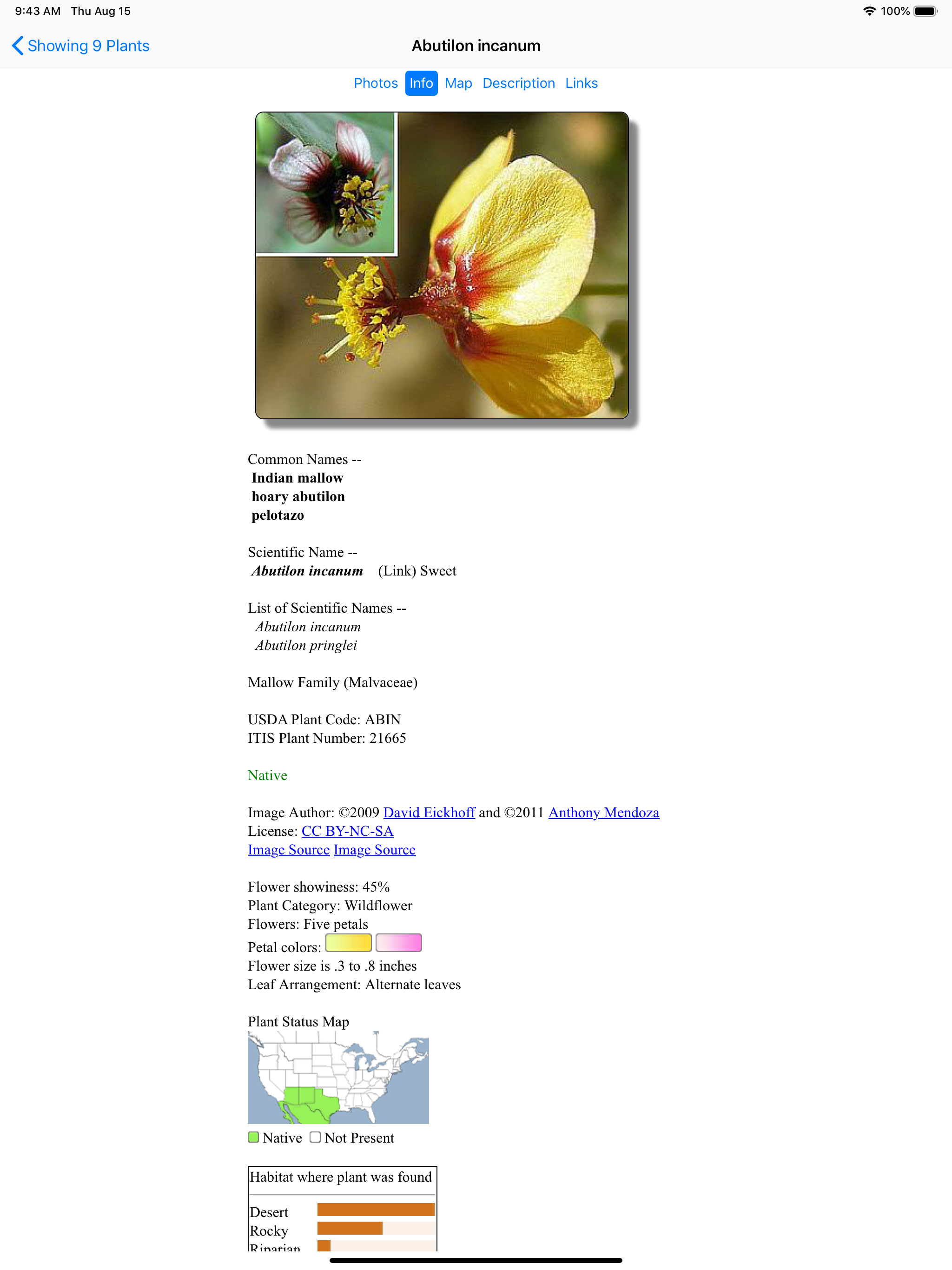 Northwest Mexico Wildflowers screenshot 12