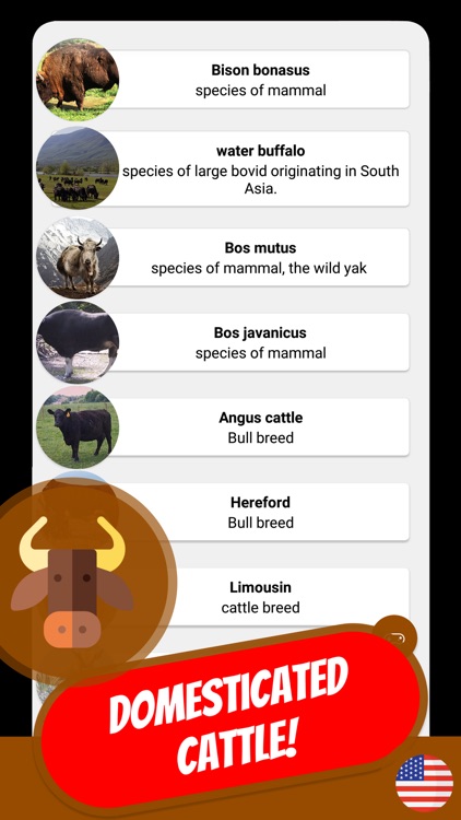 COW & BOVINE Quiz screenshot-7