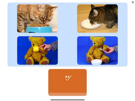 See and Learn Phrases 1