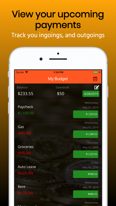 Budget Planner Pro Screenshot