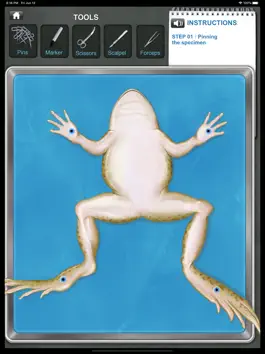 Game screenshot Frog Dissection mod apk