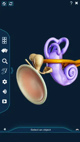 Game screenshot My Ear Anatomy apk