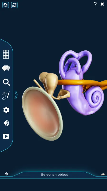 My Ear Anatomy screenshot 2 of 9