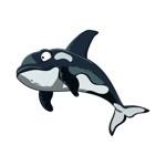 Dolphin, Shark  Whale Sticker